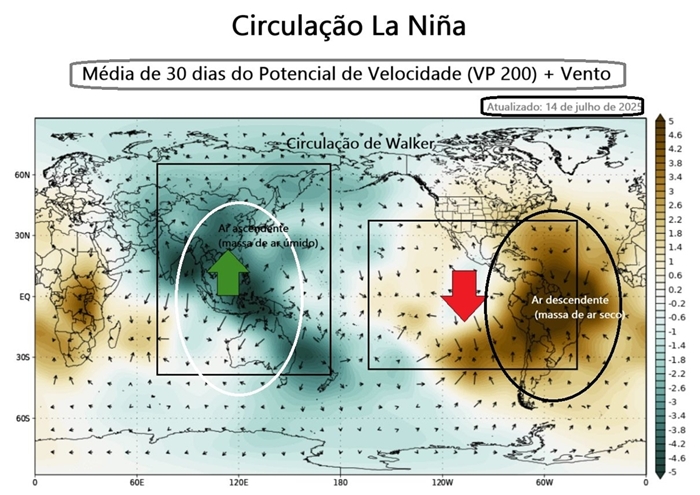 Cisculação de Walker_La Niña