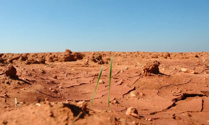 A desertificação é um dos impactos dramáticos da mudança climática.