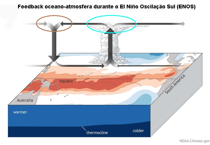 EL NINO atmosfera - previsão 2024