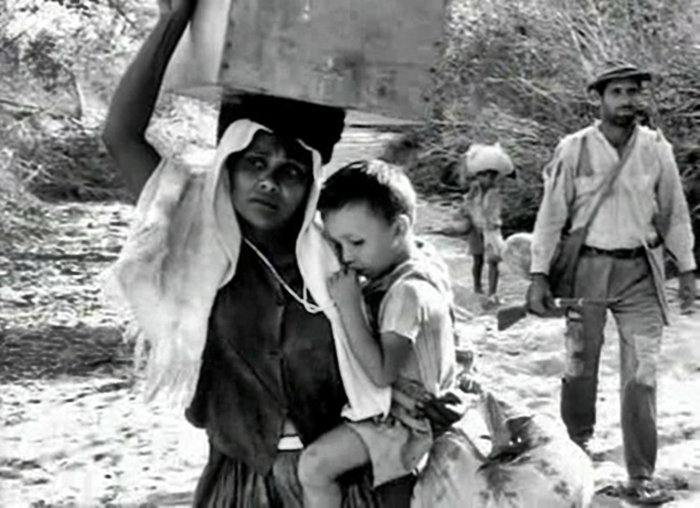 Sinha Vitória migra com a família pela Caatinga. Fonte: Filme 