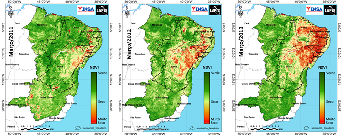 Imagem de satélite da cobertura vegetal do Semiárido