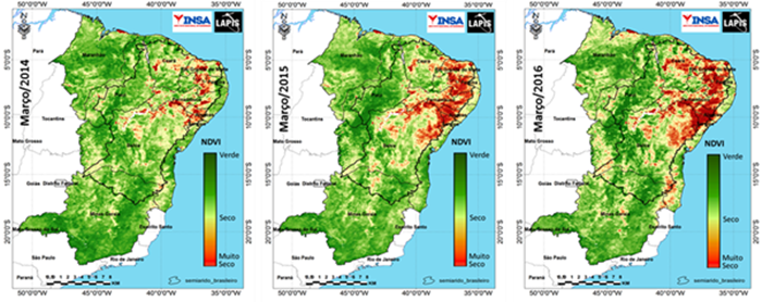 Imagem de satélite da cobertura vegetal do Semiárido