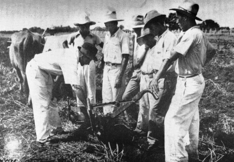 Agricultores recebem orientação técnica, em 1939. Fonte: Livro 