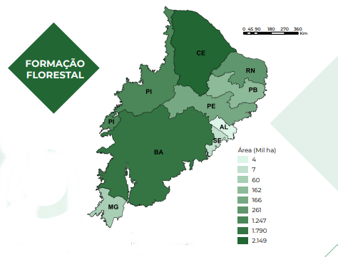 Mapa de áreas com cobertura florestal na Caatinga_Mapa no QGIS