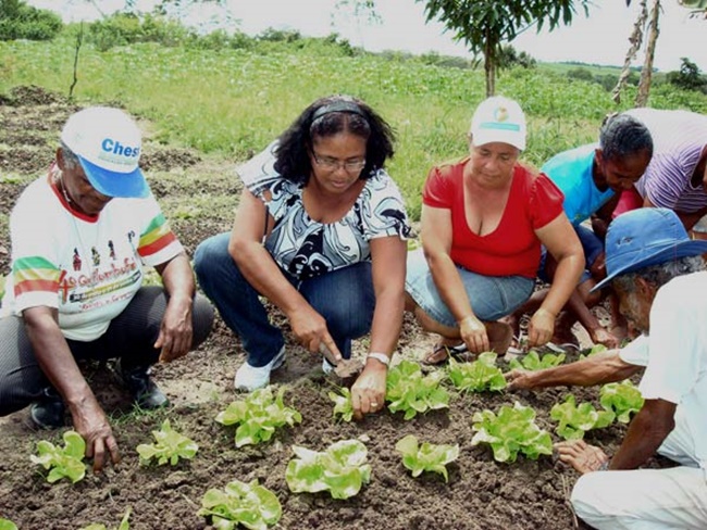 Mulheres e homens plantam hortaliças, em uma horta