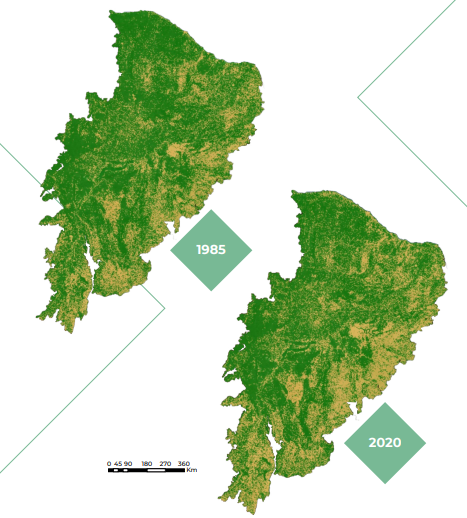 Mapa do uso e cobertura da terra na Caatinga (1985 e 2020). 
