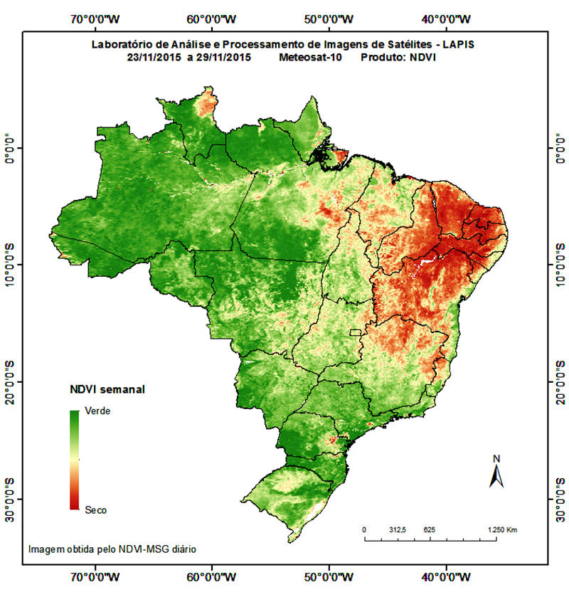 Imagem de satélite da cobertura vegetal do Brasil