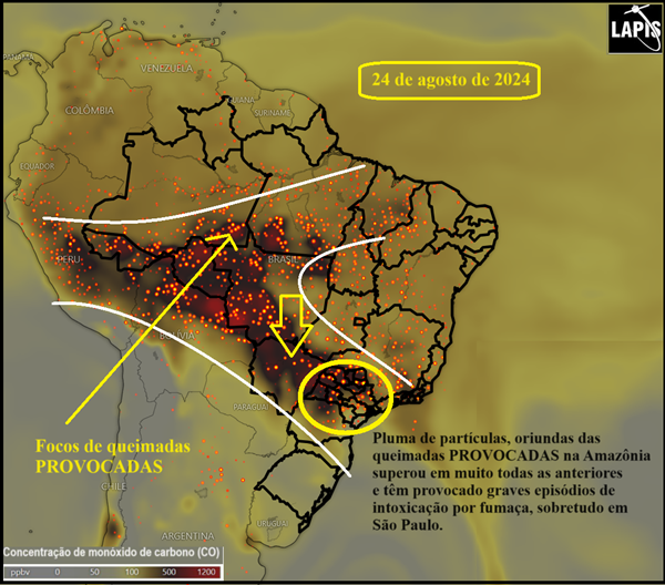 Imagem de satélite mostra queimadas em São Paulo