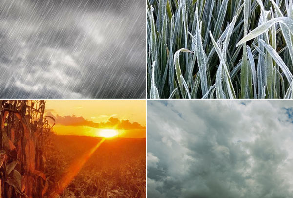 Mosaico de fotos mostra várias condições climáticas