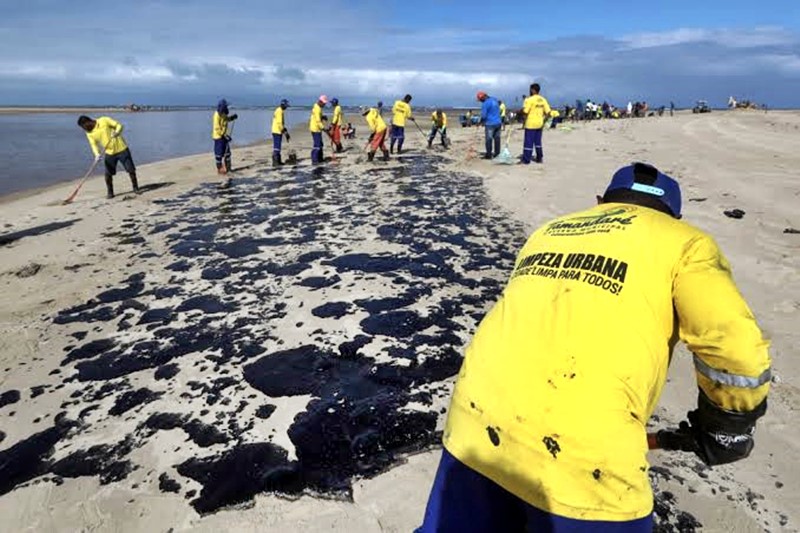 Agentes realizam limpeza das praias, poluídas com óleo