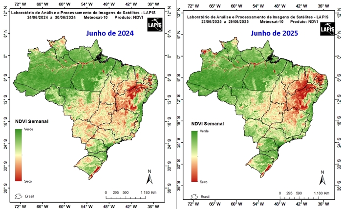 Mapa comparativo da cobertura vegetal