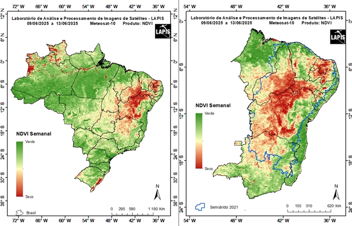 Mapa da cobertura vegetal