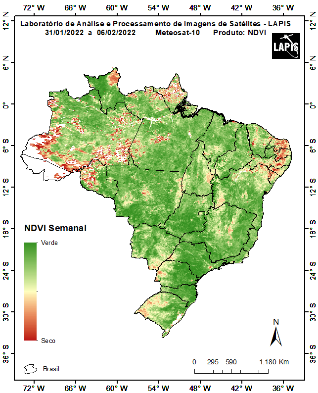 Mapa da cobertura vegetal, processado no QGIS