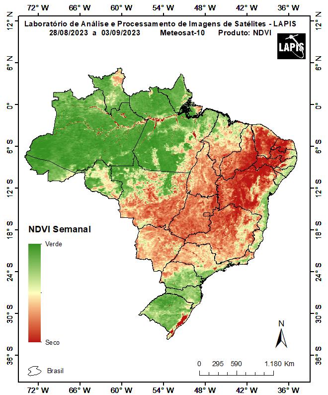 Mapa da cobertura vegetal_QGIS