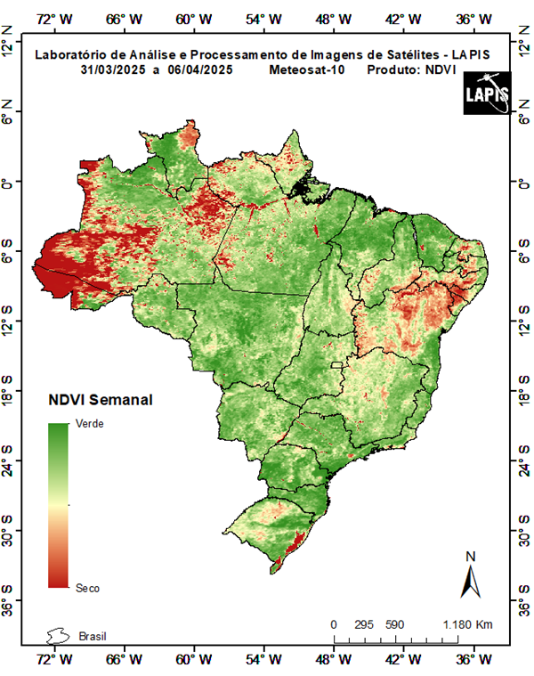 Mapa da cobertura vegetal_QGIS