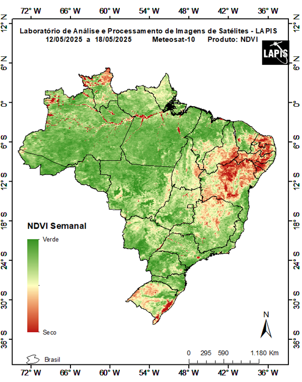 Mapa da cobertura vegetal_QGIS