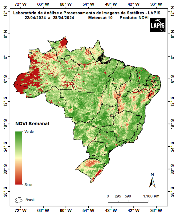 Mapa da cobertura vegetal gerado no QGIS com dados de satélites