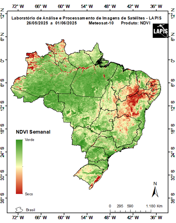 Mapa da cobertura vegetal nas regiões_QGIS