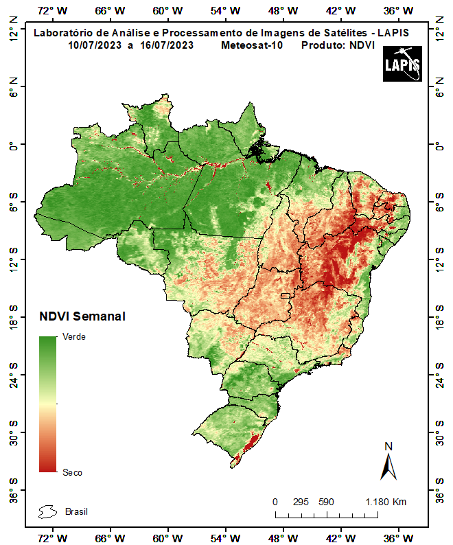 Mapa da cobertura vegetal no Brasil_QGIS