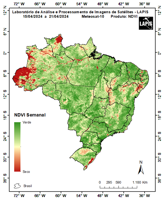 Mapa da cobertura vegetal no Brasil_QGIS