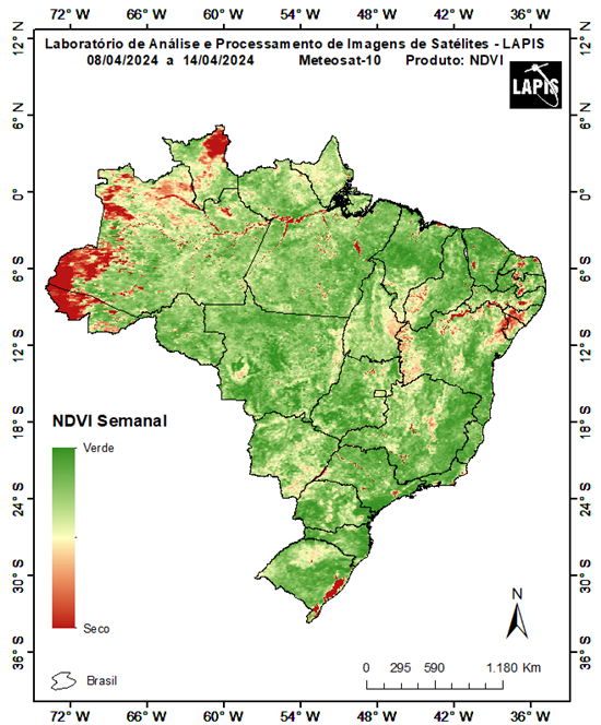 Mapa da cobertura vegetal processado no QGIS