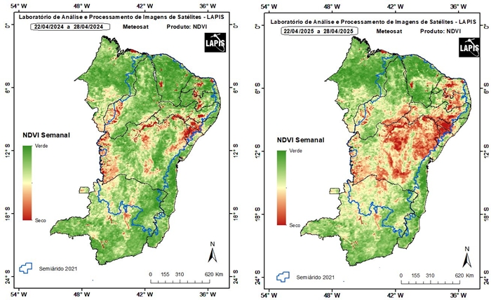 Mapa da cobertura vegetal seca no Semiárido