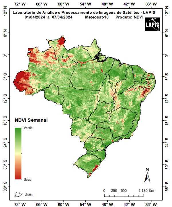 Mapa da cobetura vegetal_QGIS