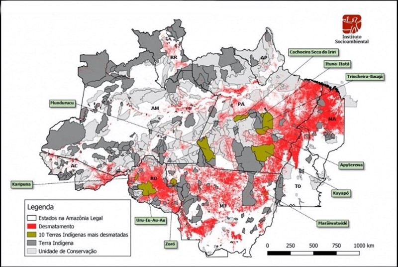 Mapa do desmatamento das terras indígenas na Amazônia