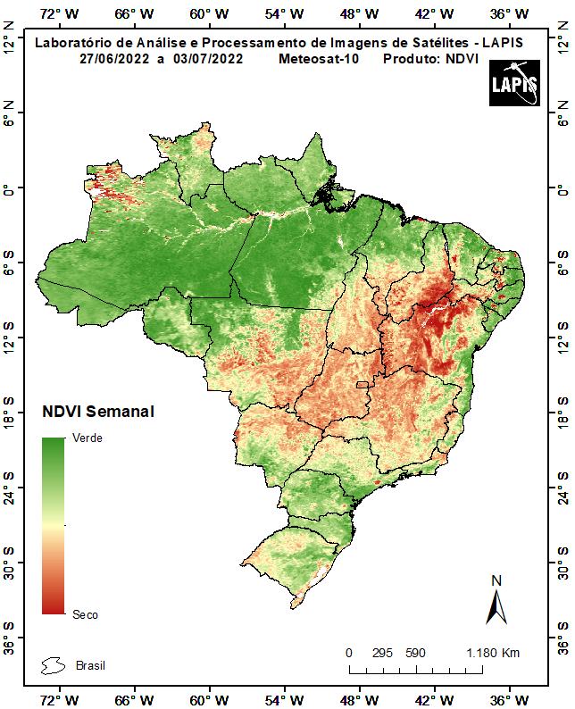 Mapa da cobertura vegetal, baseado em dados do satélite Meteosat-11. Elaborado no software QGIS.