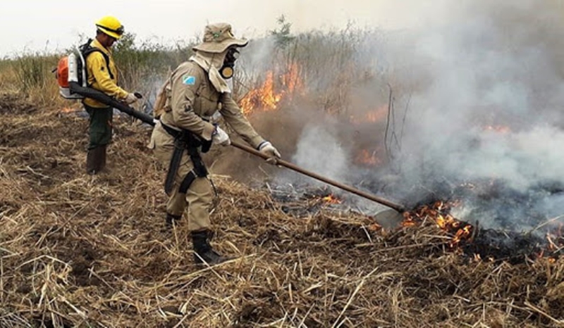 Seca no Centro-Sul aumenta incêndios no Pantanal. 