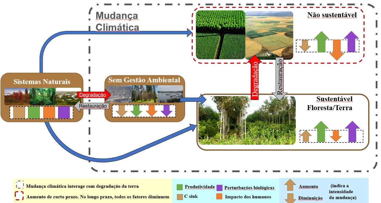 Modelo de uso e ocupação da terra define se o ambiente é sustentável. Fonte: Lapis.