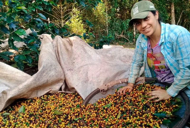 Aumenta participação das mulheres na agricultura.