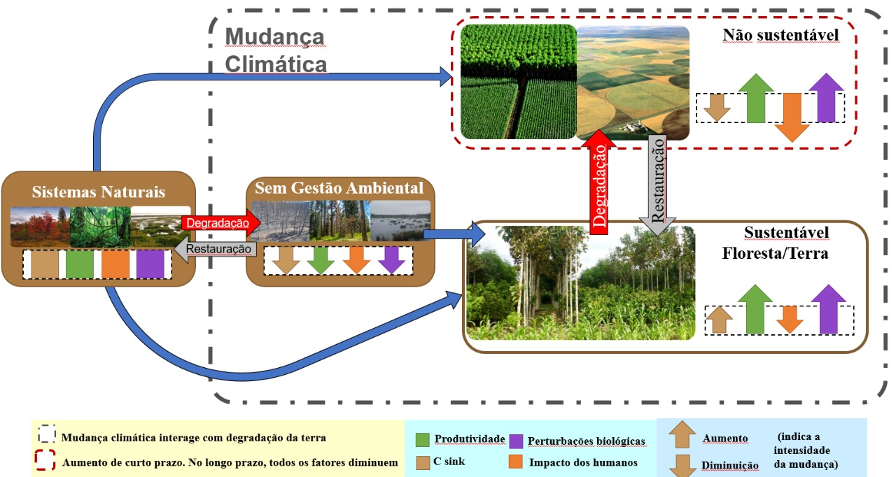 Relação do uso e ocupação da terra com a degradação