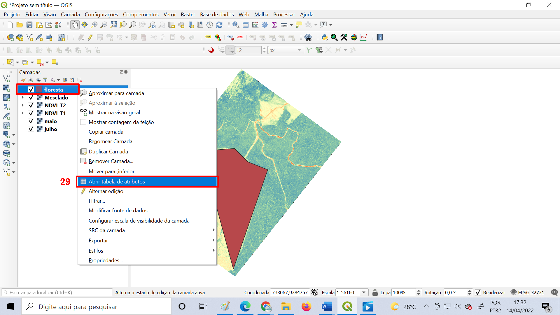 Imagens de satélites no QGIS