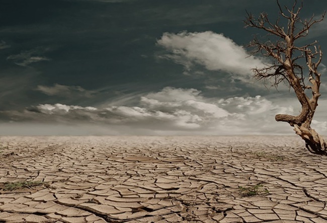 Paisagem seca, com lama rachada e árvore seca