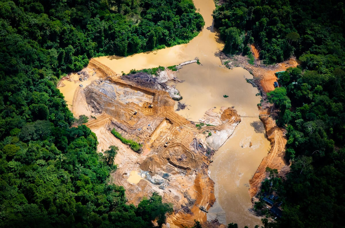  Estrada e Maquinário Ilegais na TI Yanomami na Amazônia © Valentina Ricardo / Greenpeace