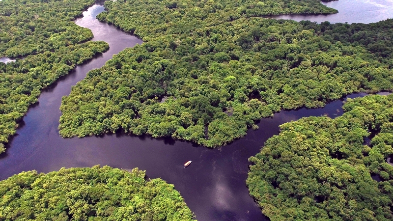uma grande floresta amazônica, cortada pelo rio Amazonas