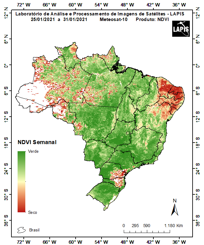 Imagem da cobertura vegetal, obtida no mês de fevereiro.