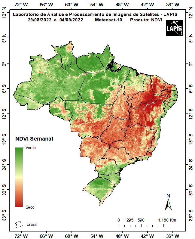 Mapa da cobertura vegetal processado no QGIS