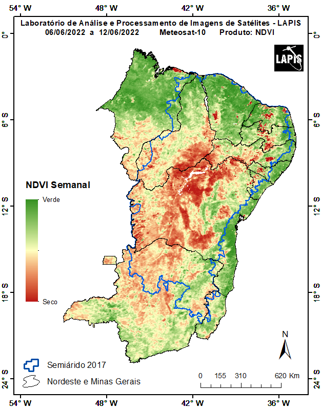Imagem de satélite da cobertura vegetal do novo Semiárido brasileiro.