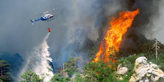 Helicópteros com bombeiros apagando incêndio em uma floresta