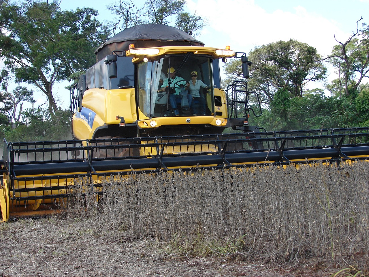 produção e colheita de soja_Argentina_Ucrânia