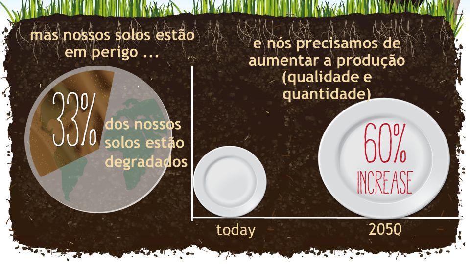 Degradação dos solos reduz aumento na produção de alimentos