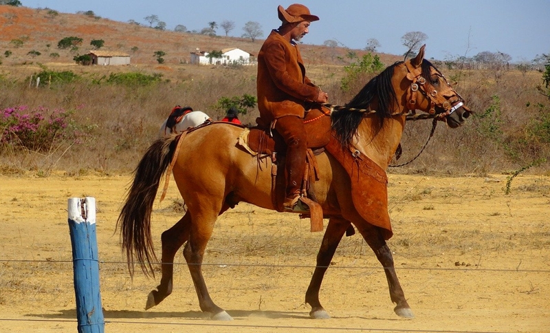 Vaqueiro típico do Semiárido brasileiro