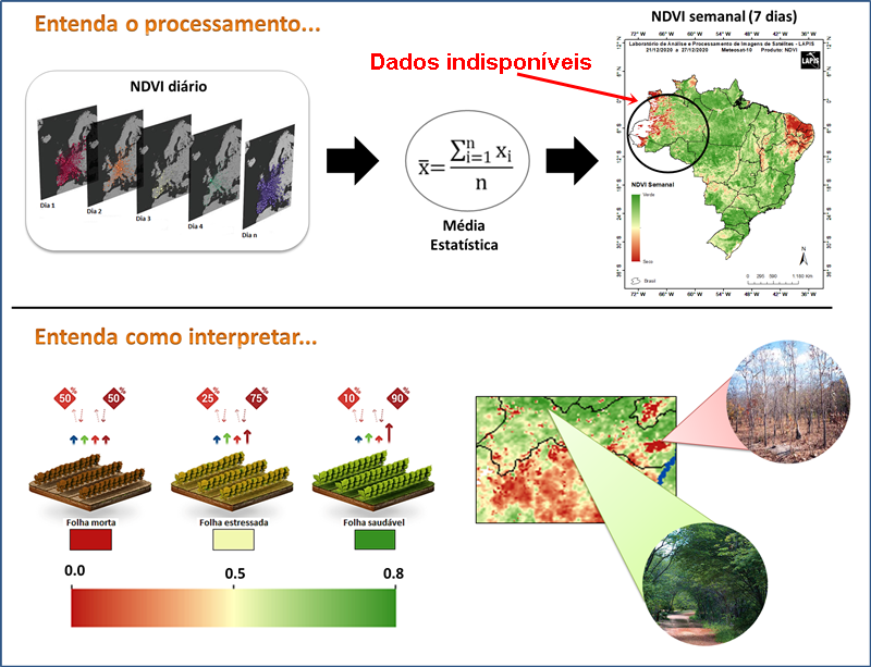 Processamento e interpretação do índice da cobertura vegetal. Fonte: Lapis.