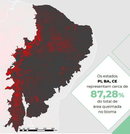 Mapa das áreas de queimadas na Caatinga_Mapa noQGIS